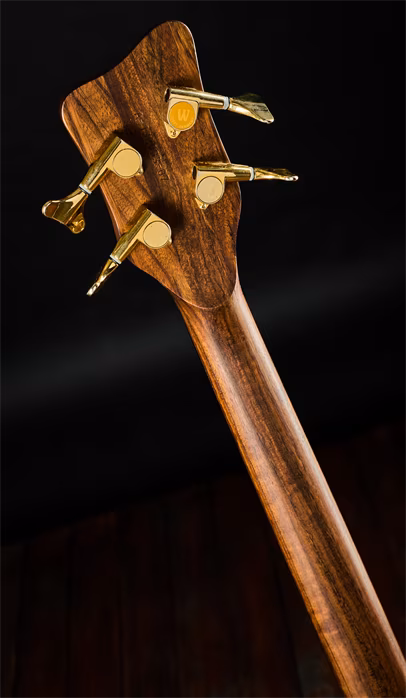 Warwick 2007 F.N.A. Jazzman Bartolini - Elektrická basgitara