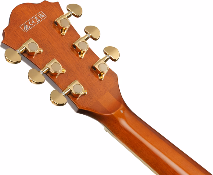 Ibanez AG95MG-DA - Semiakustická gitara