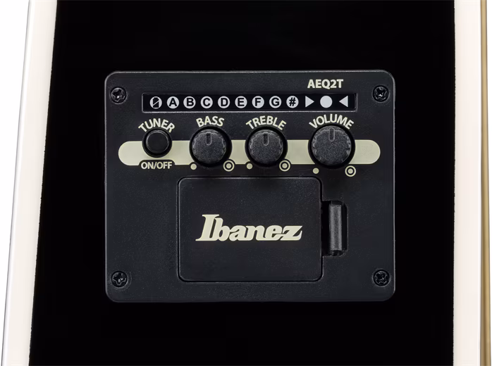 Ibanez ALT50FA-TVT - Elektroakustická gitara