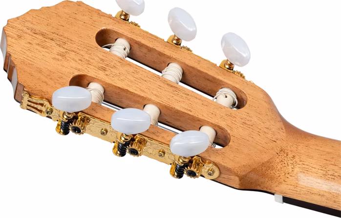 Ortega R20GSNRG - Klasická gitara