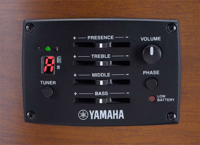 Yamaha FX400 Smoky Black - Elektroakustická gitara