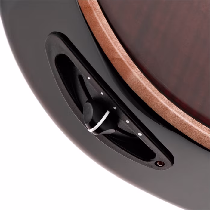 Taylor T5z Pro Grapevine - Elektroakustická hybridná gitara