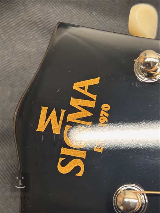 Sigma Guitars SJR-SG45 (Zánovné) - Elektroakustická gitara