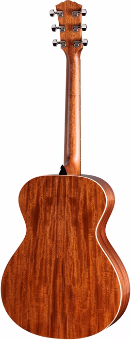 Taylor Gold Label 512e - Elektroakustická gitara