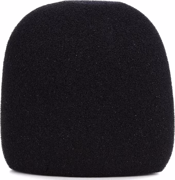 Electro-Voice WSPL-1 - Protiveterný mikrofónny kryt