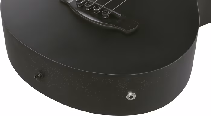 Ibanez AEGB420 BOT - Elektroakustická basgitara