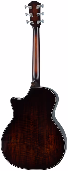 Taylor Builder's Edition 514ce Natural Next Generation - Elektroakustická gitara