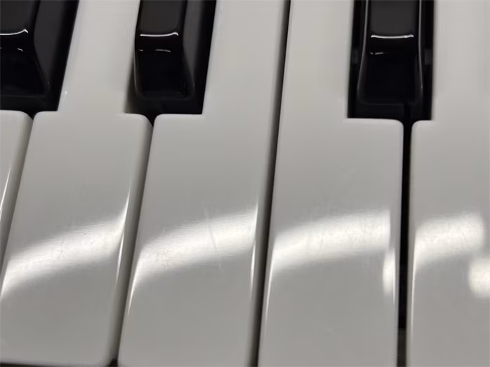 Sequential Trigon-6 (zánovné) - Hybridný syntezátor