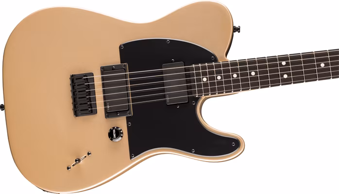 Fender Jim Root Telecaster EB SGD - Elektrická gitara