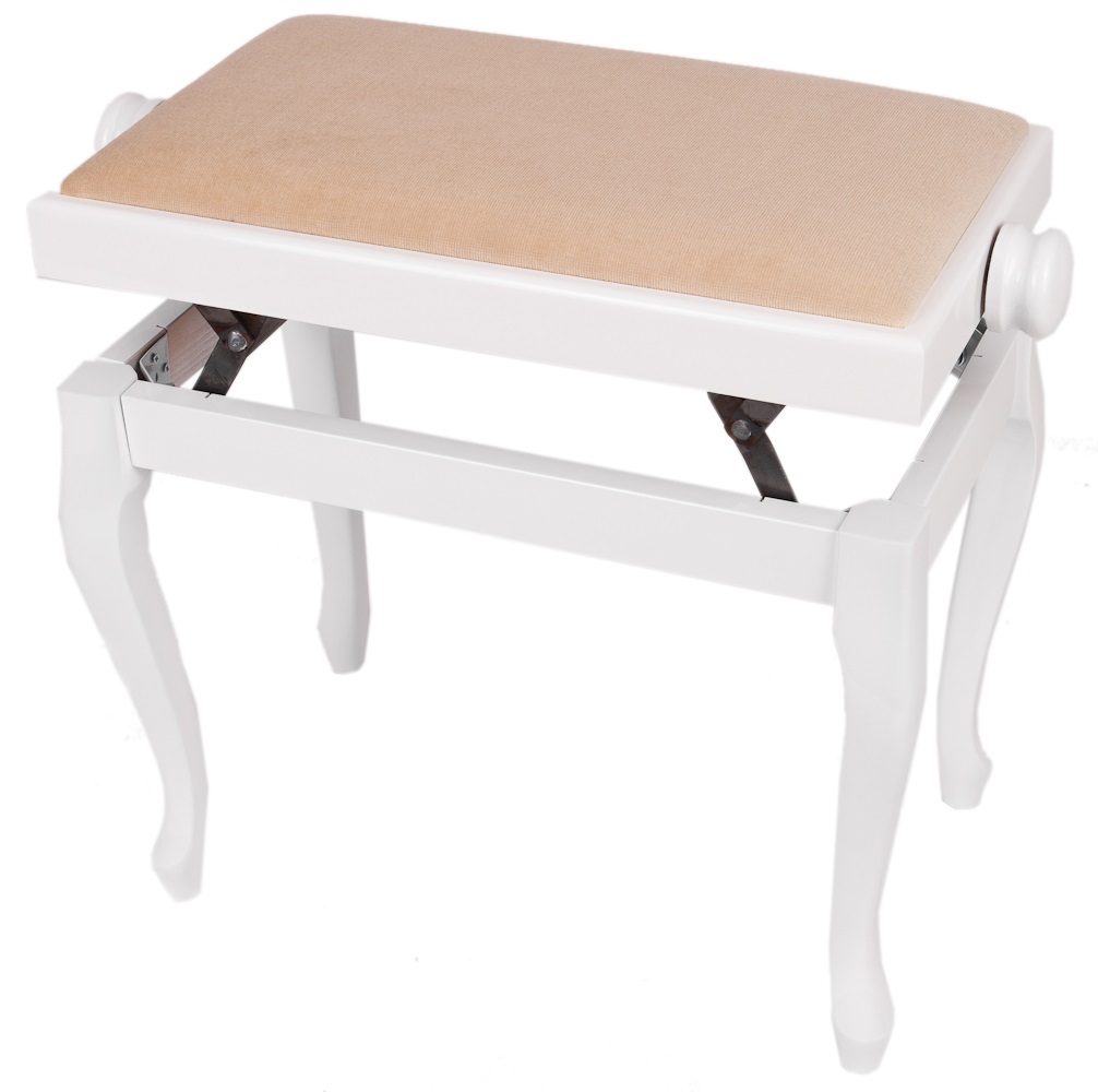Bespeco SG107 WLSB