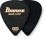 E-shop Ibanez PPA14HSG-BK