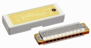 Tombo 1210 Folk Blues Mark II - D