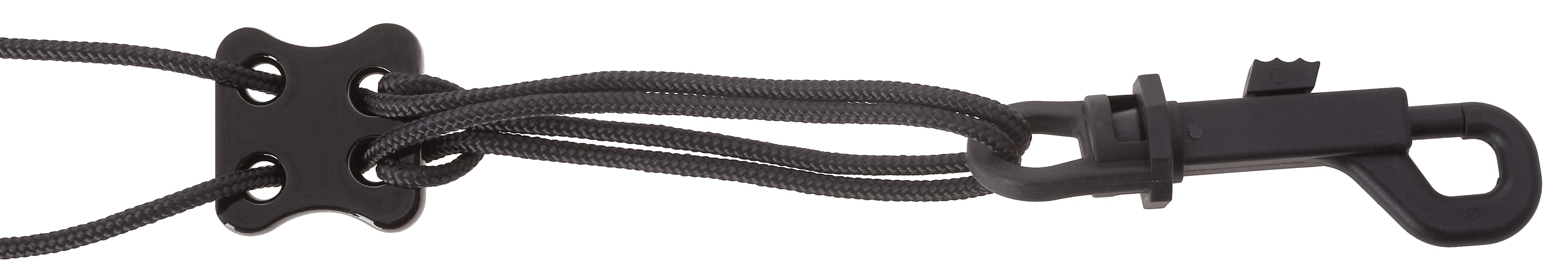 Cebulla M