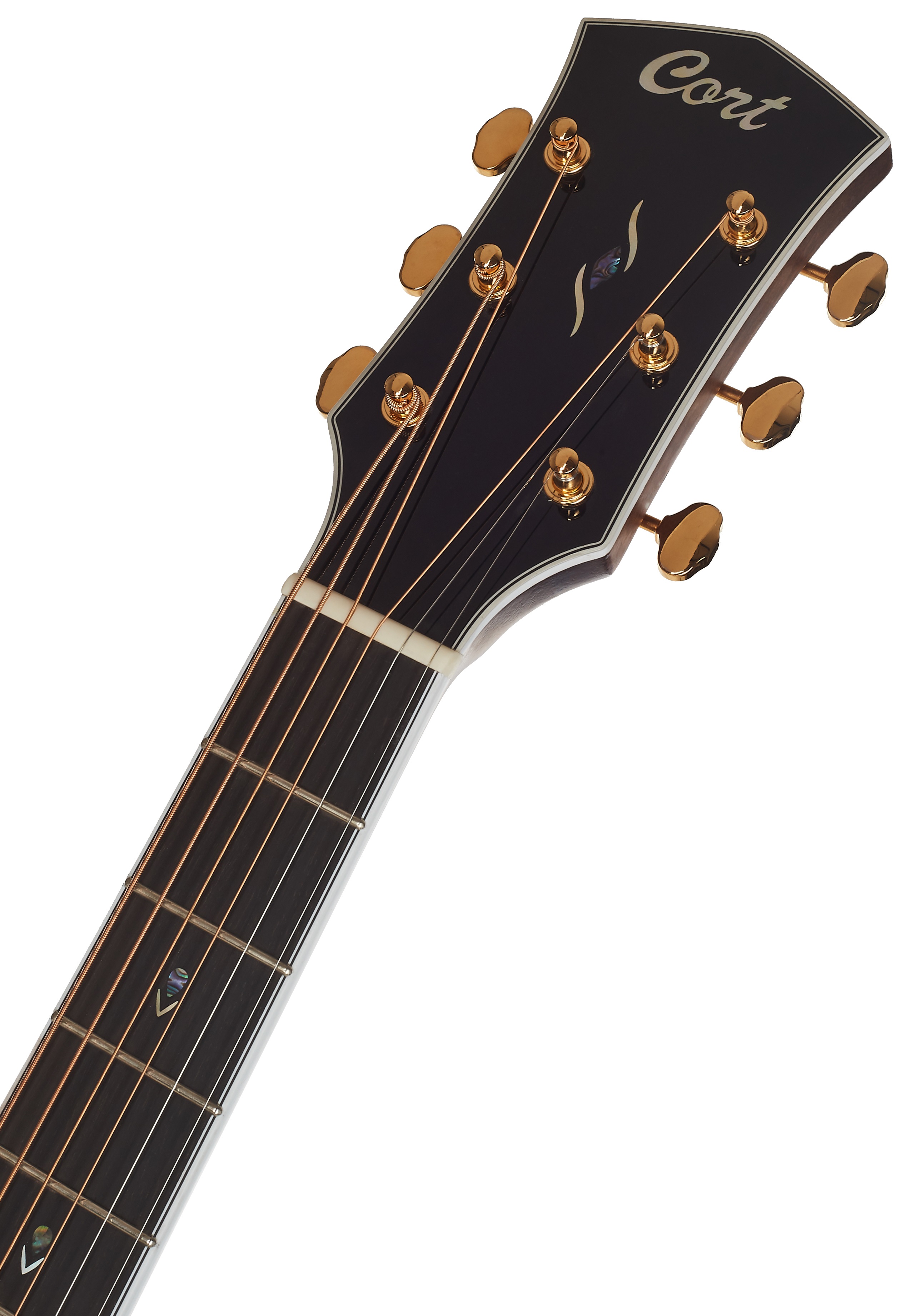 Cort Gold-D8 LB