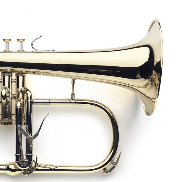 E-shop VanLaar B1 Glossy, Lacquer