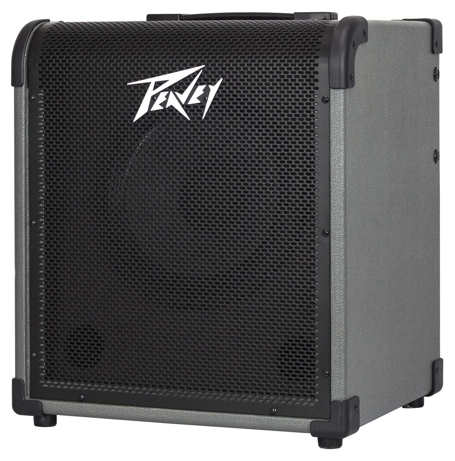 Peavey Max 100