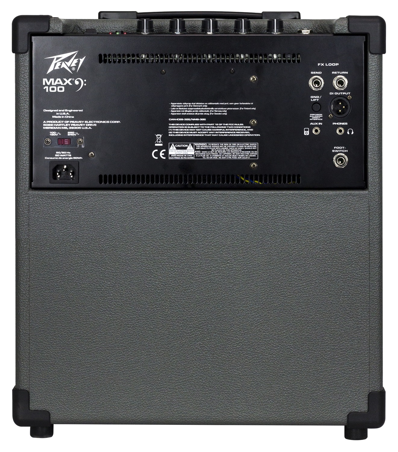 Peavey Max 100
