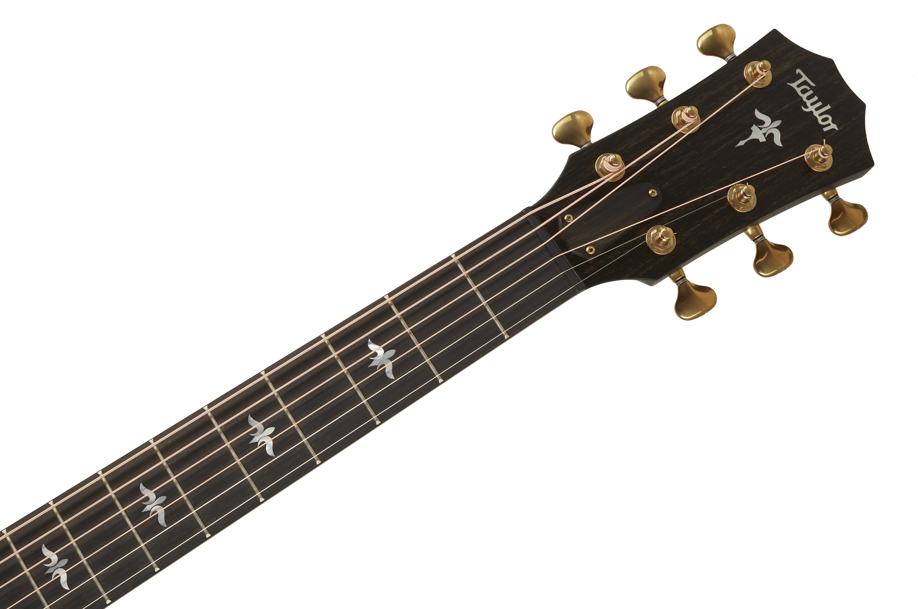 Taylor Builders Edition 614ce