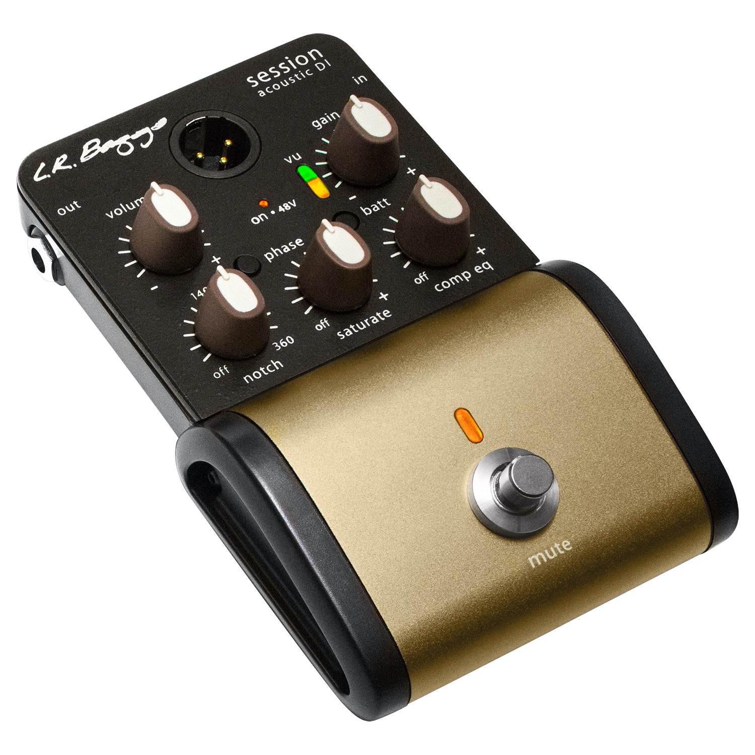 L.R. Baggs Session Ac. DI
