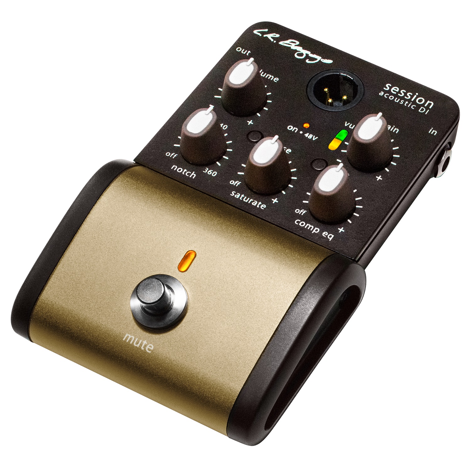L.R. Baggs Session Ac. DI