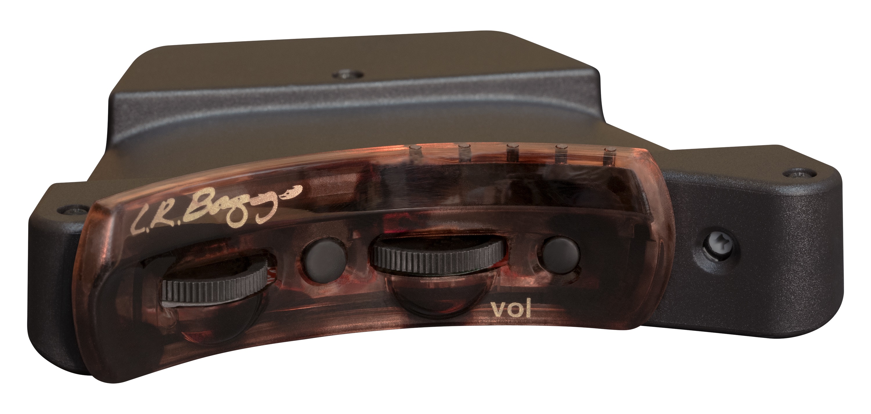 L.R. Baggs Session VTC