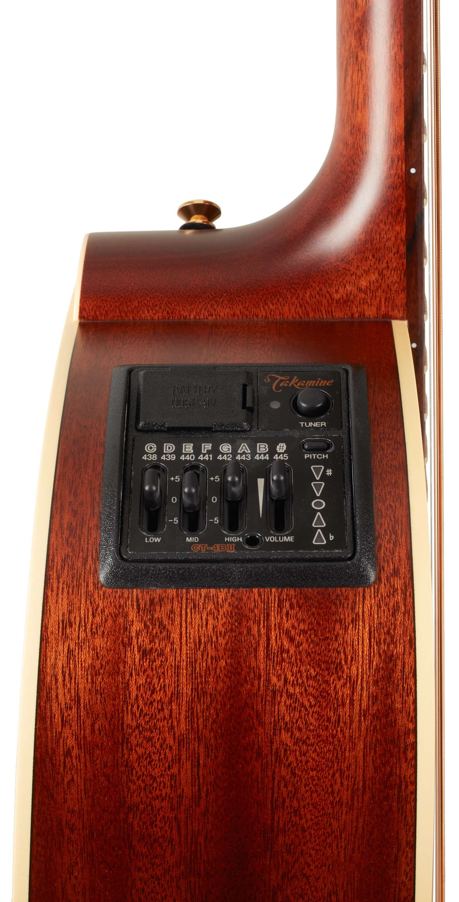 Takamine P3DC