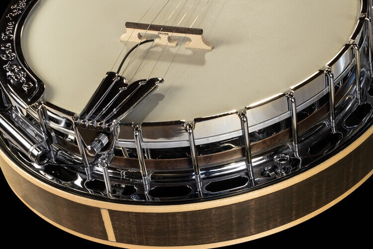 L.R. Baggs BANJO