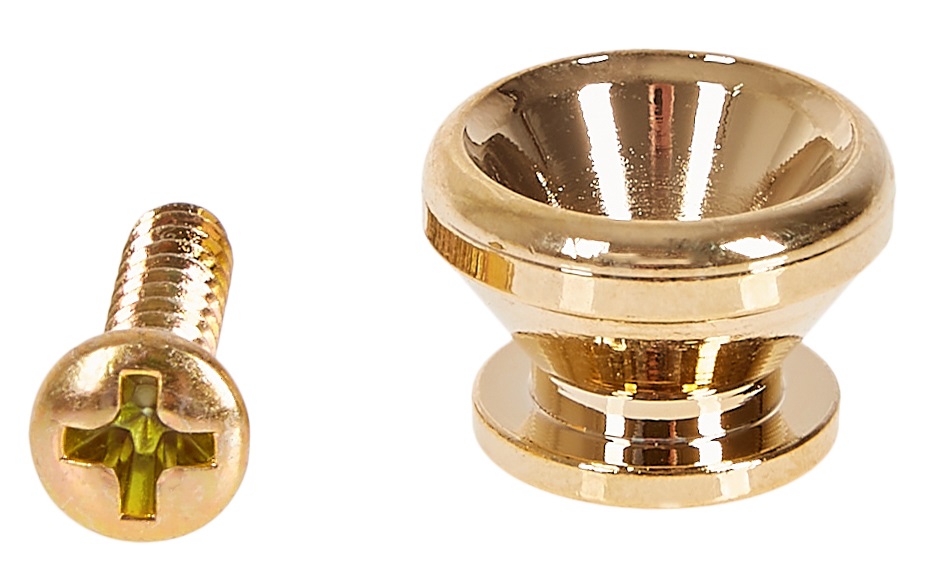 Taylor Strap Button & Screw, Gold