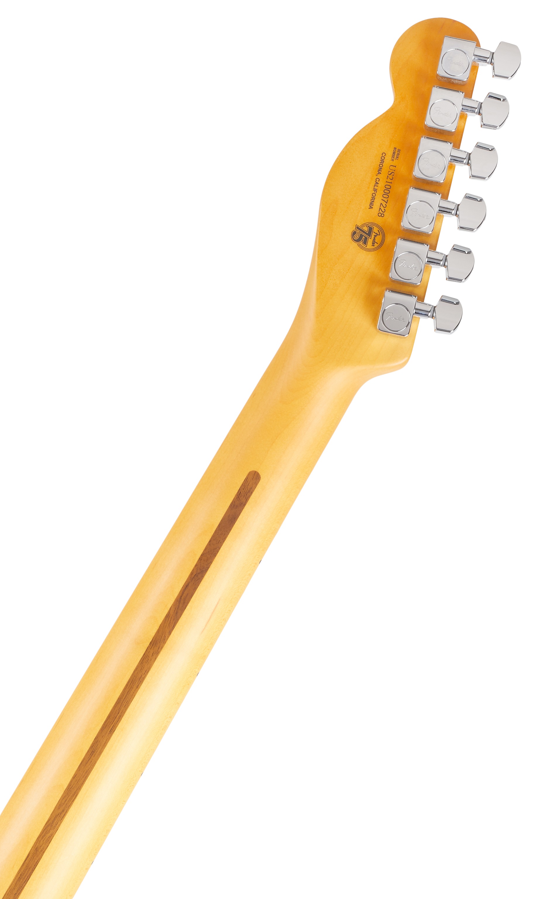 Fender American Professional II Telecaster MN RST PINE