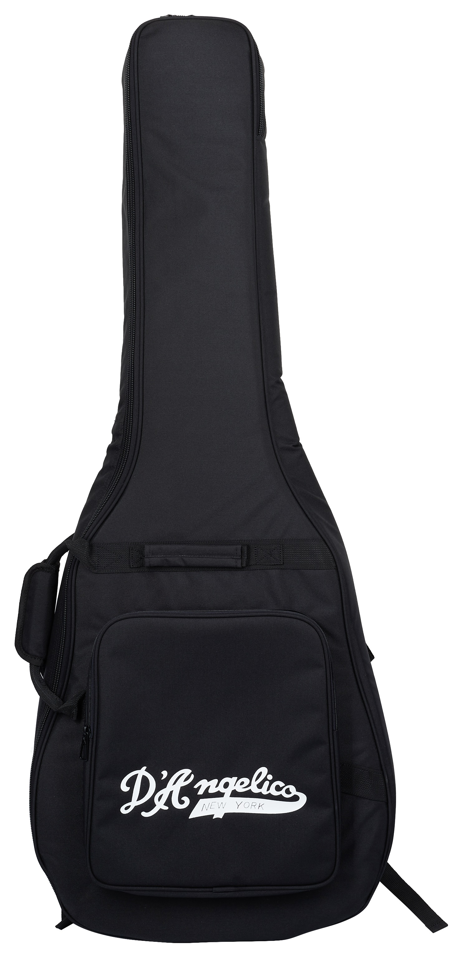 D'Angelico Single Cutaway Black Flake