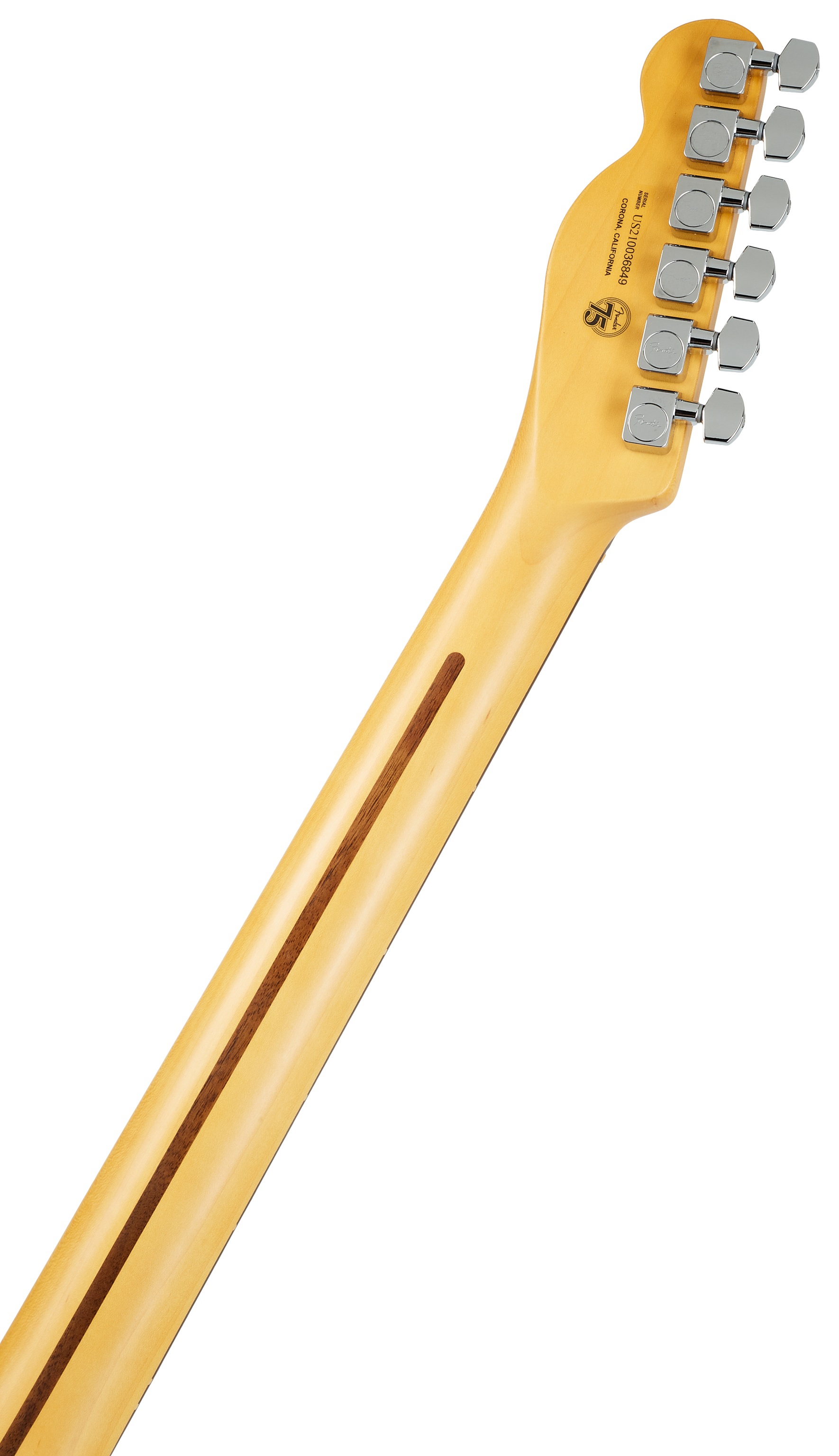 Fender American Professional II Telecaster RW DK NIT