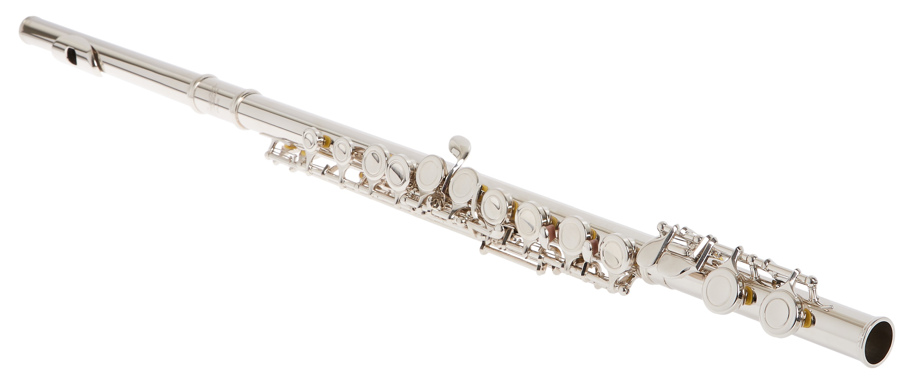 Bacio Instruments BFL-100