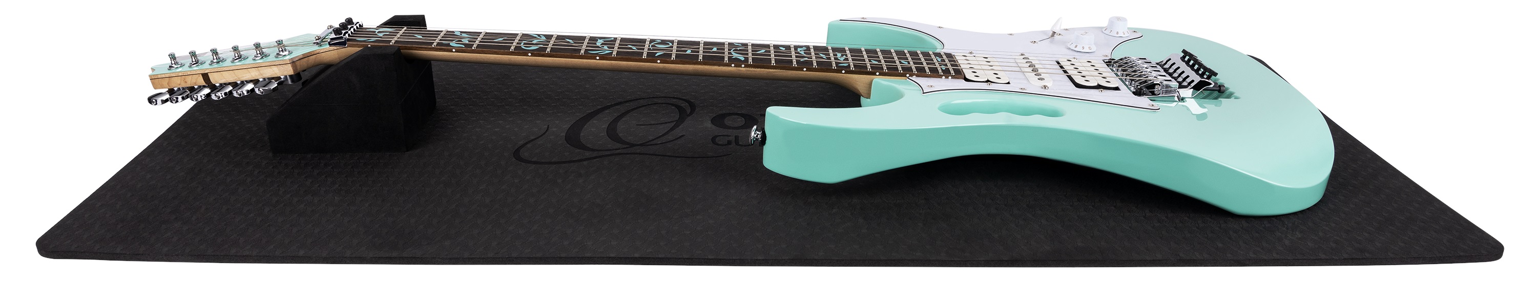 Ortega OIWM