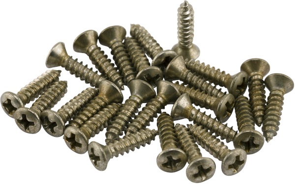 E-shop Fender Road Worn Pickguard/Control Plate Screws