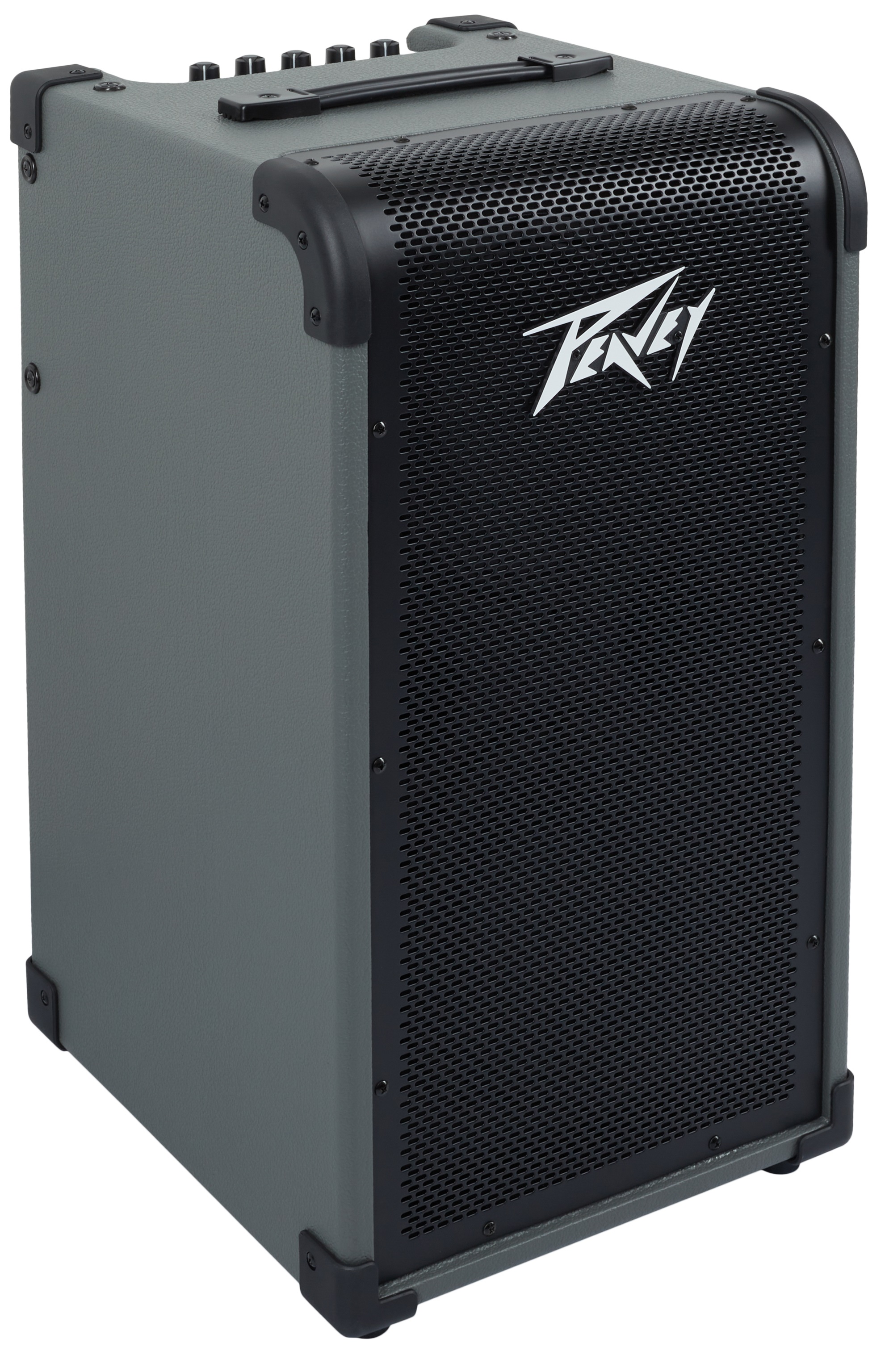 Peavey Max 208