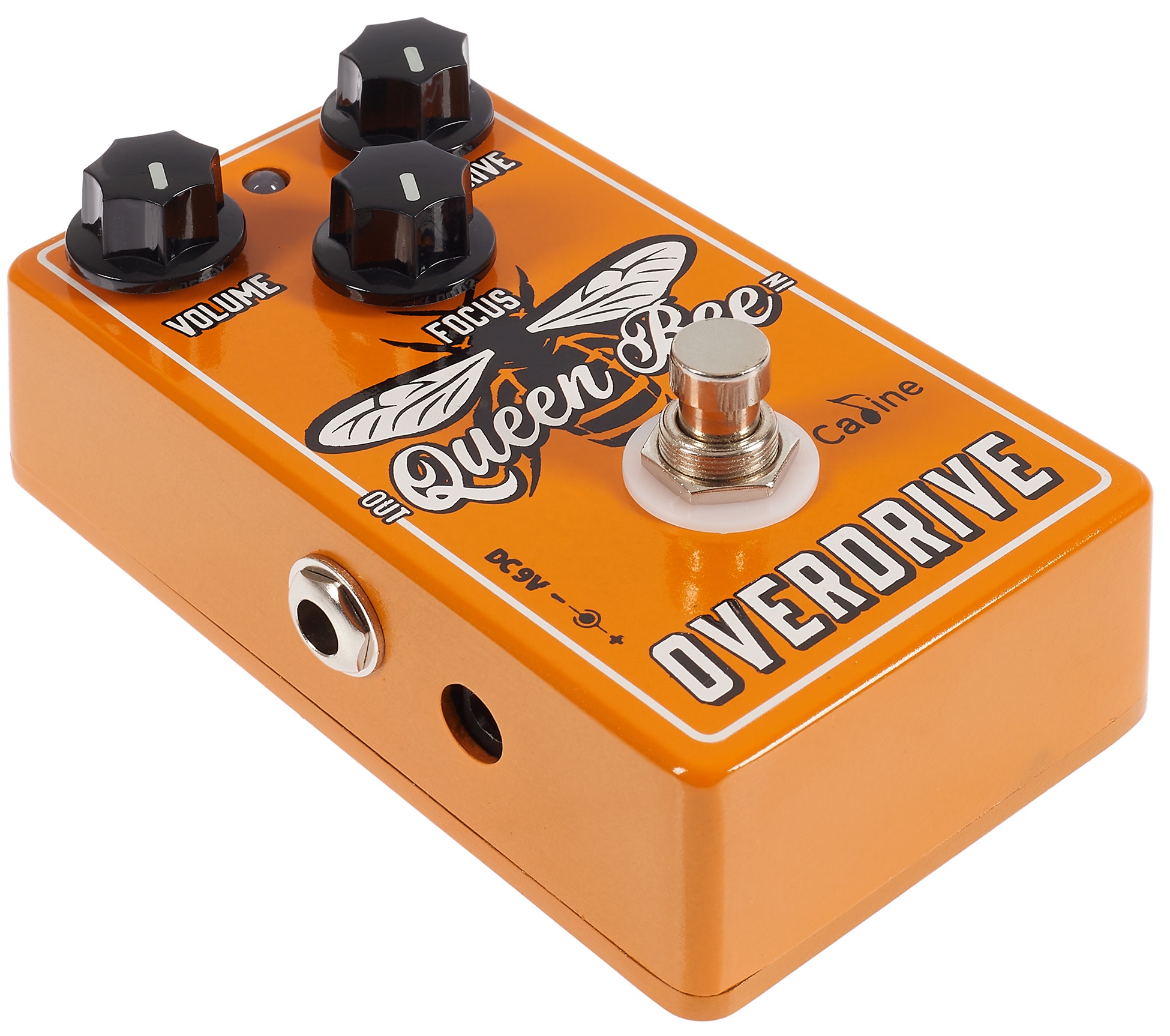 Caline CP-503 Queen Bee Overdrive