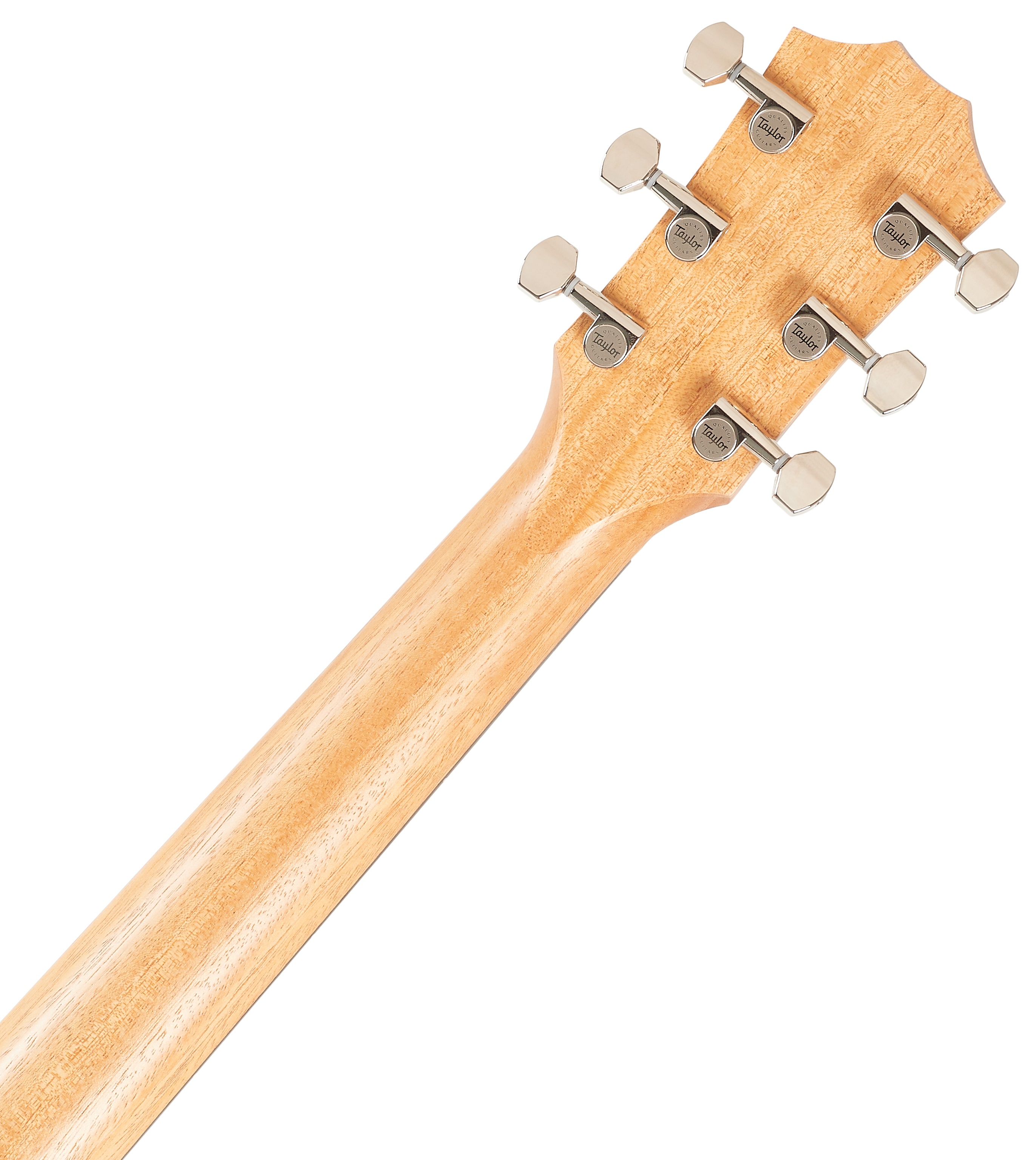 Taylor GS Mini-e Rosewood Plus