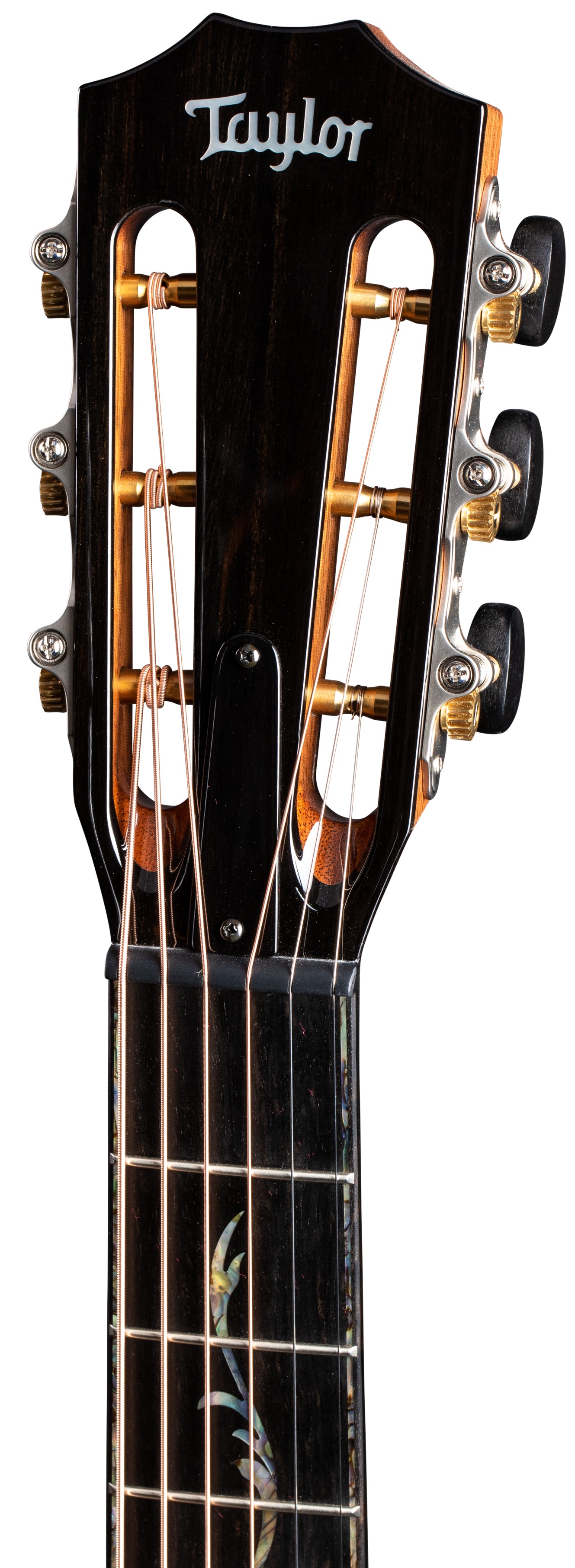 Taylor PS12ce 12-Fret