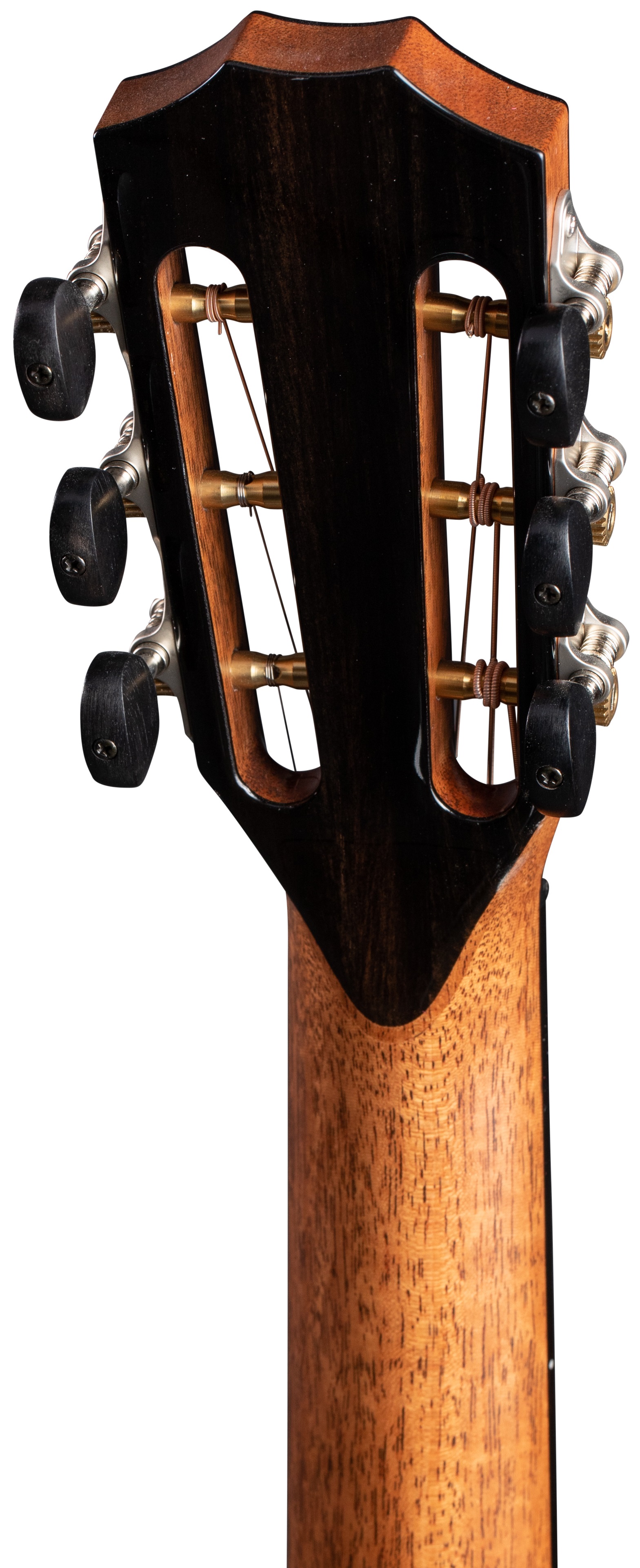 Taylor PS12ce 12-Fret