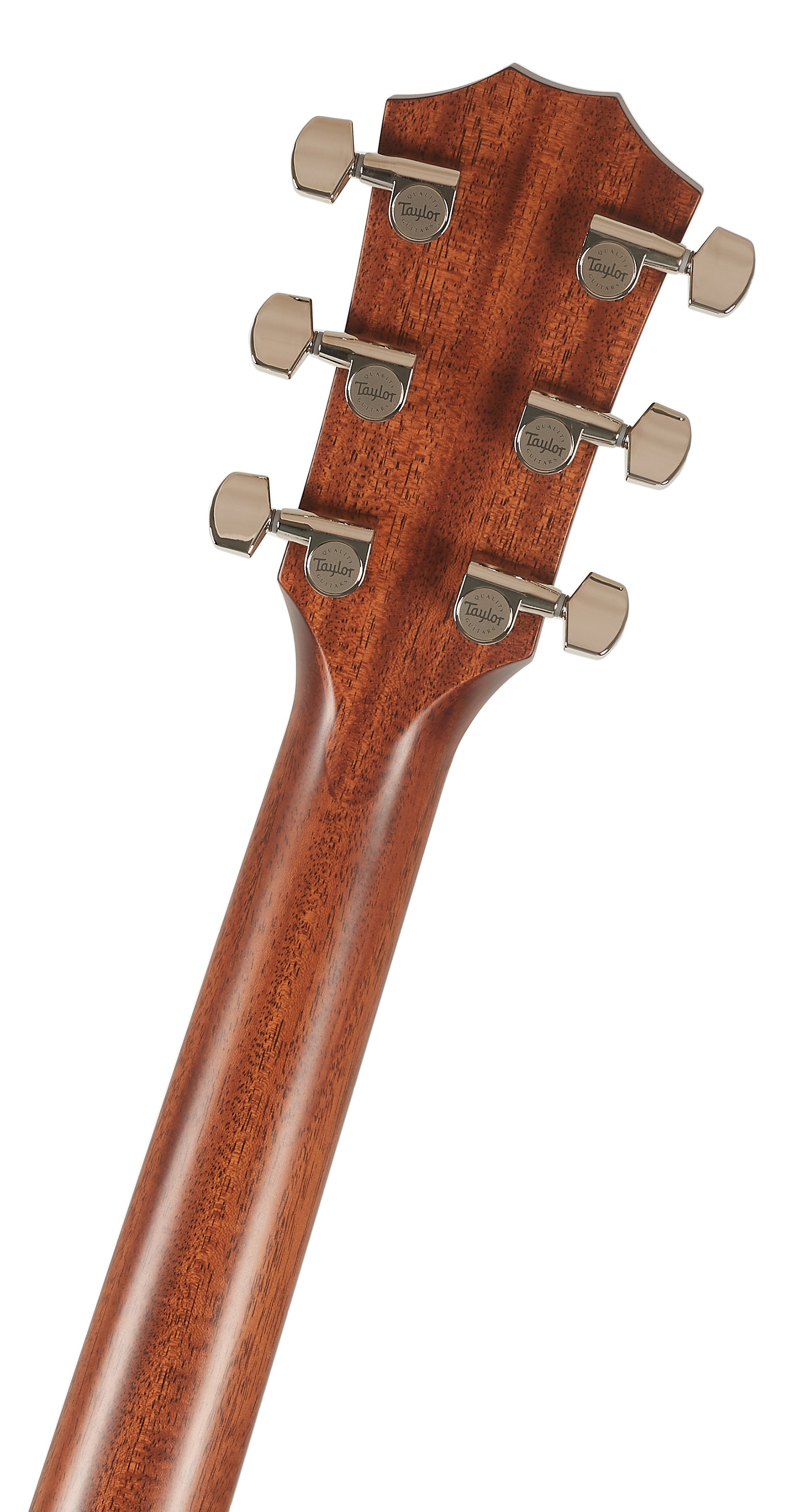 Taylor 414ce-R Tobacco Sunburst Top