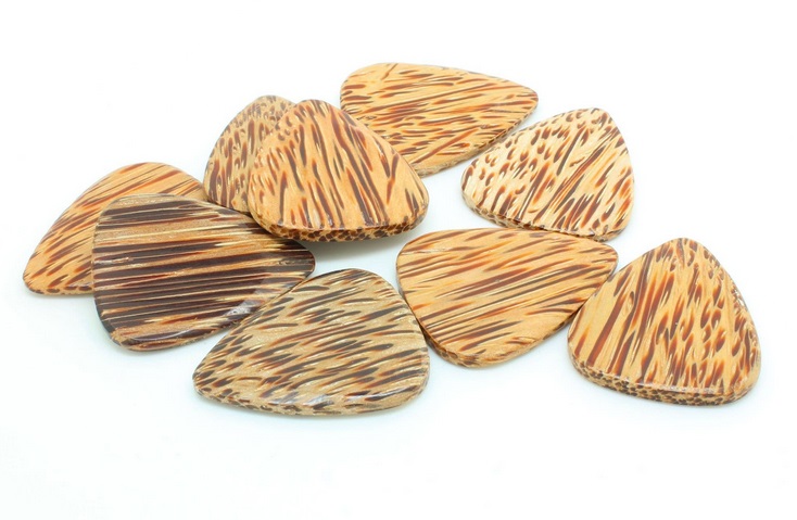 Timber Tones Coconut Palm 4-Pack