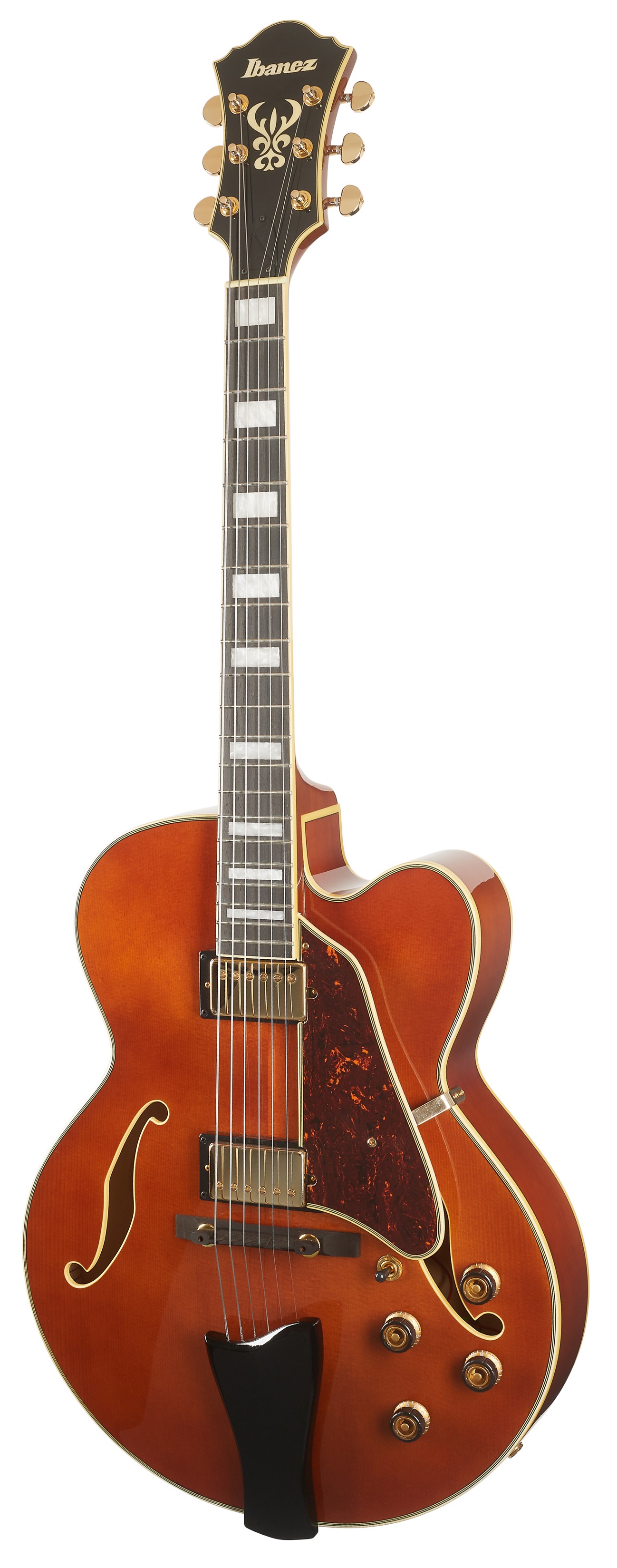 Ibanez AF95 Divine Amber