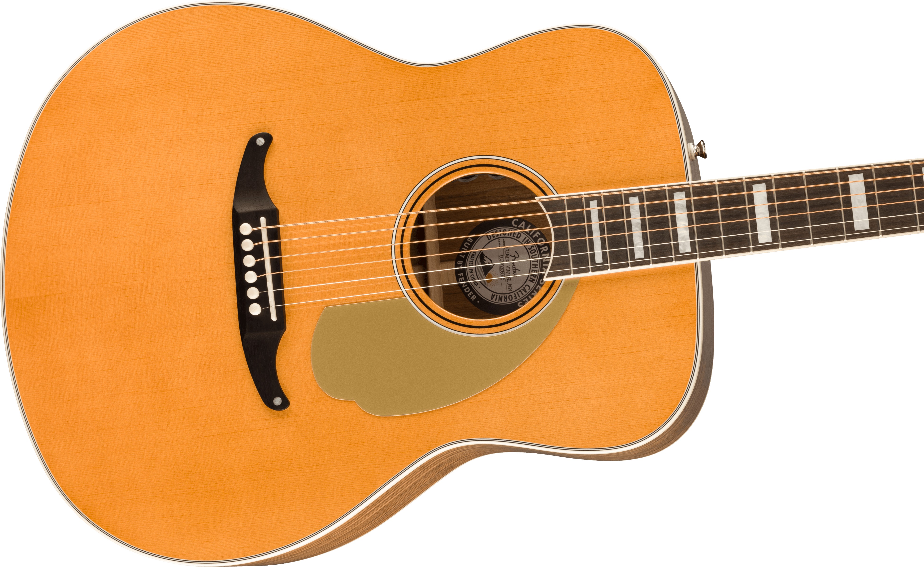 Fender Palomino Vintage AGN