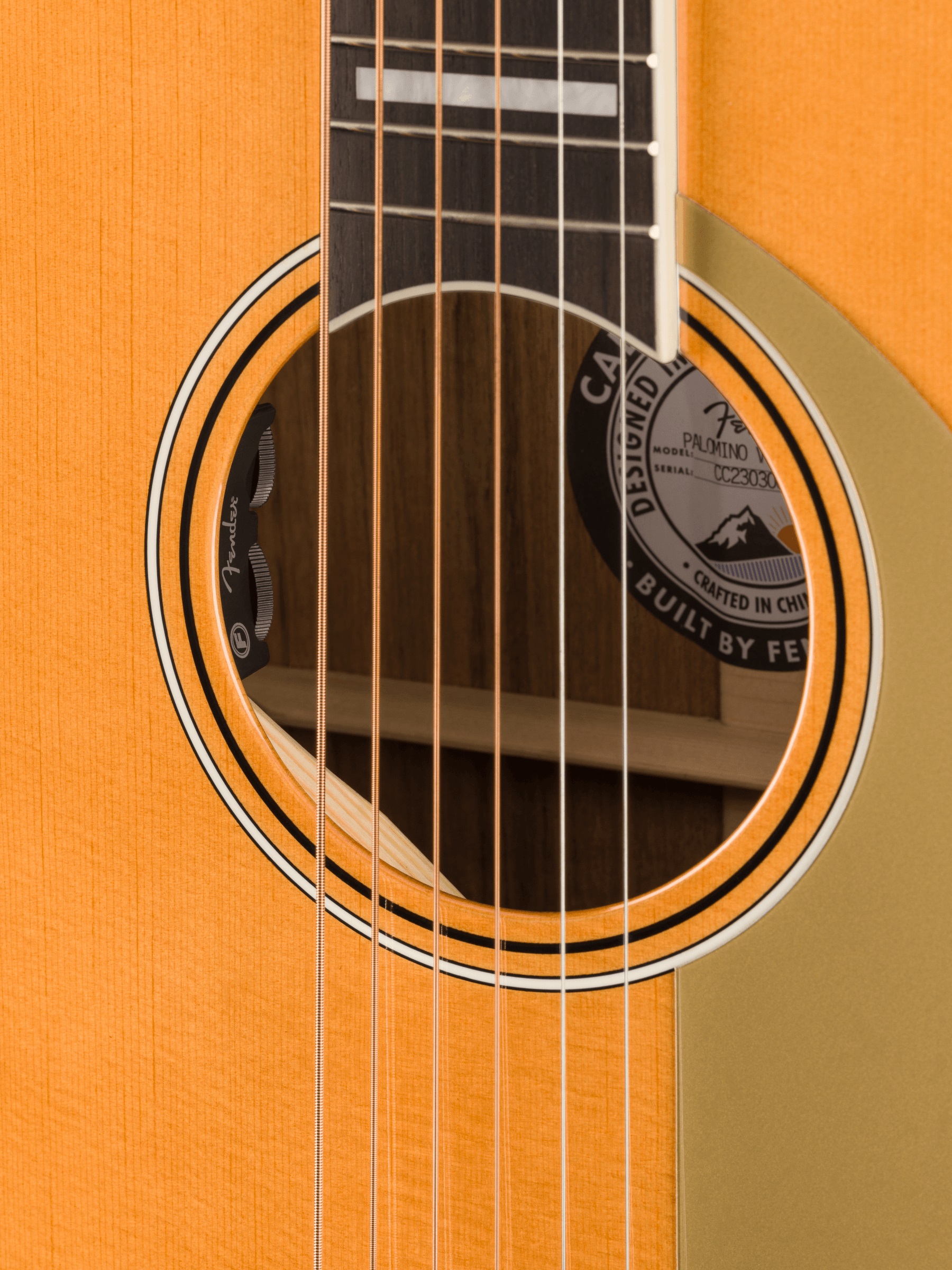 Fender Palomino Vintage AGN