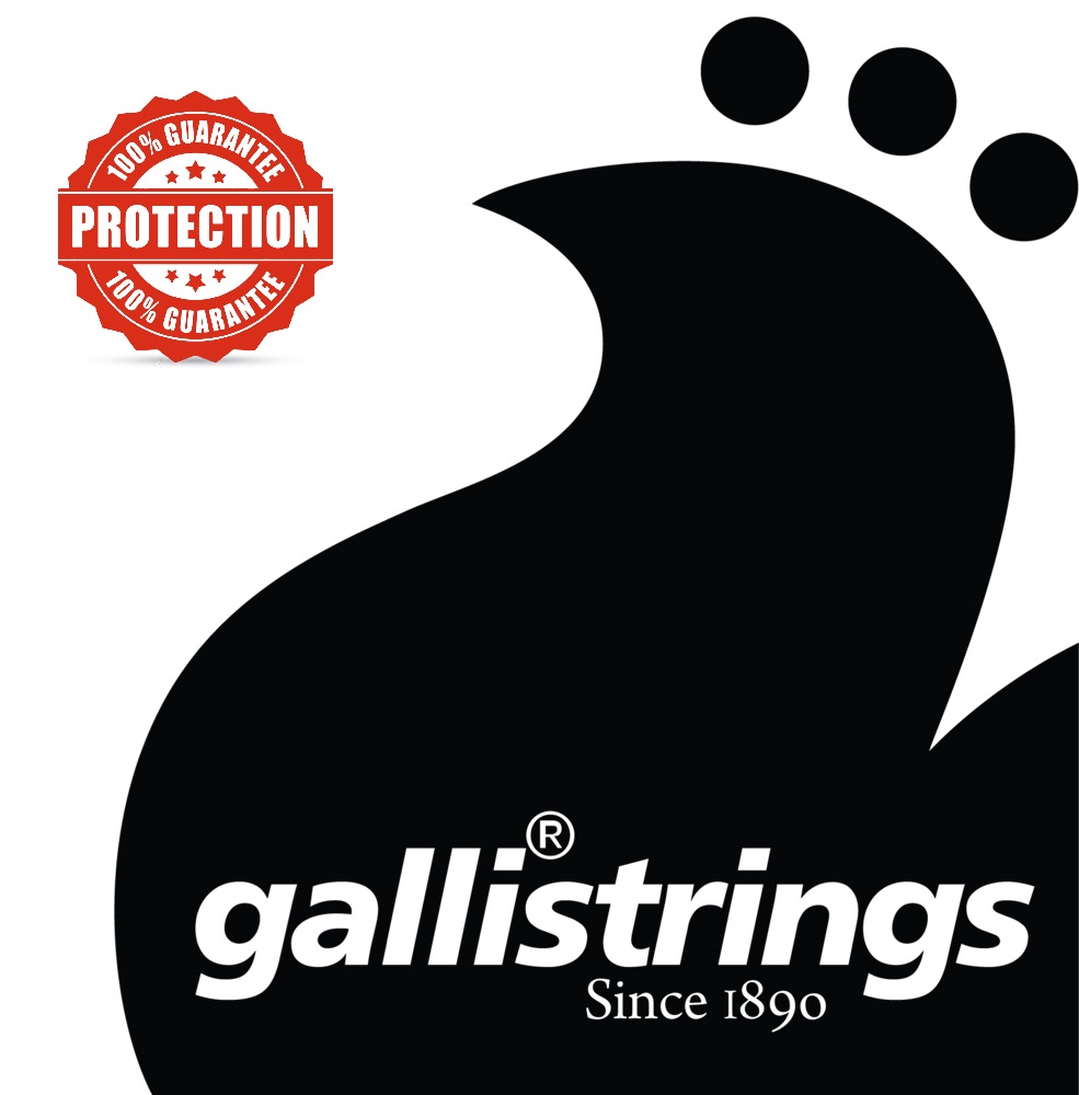 Galli MS100 Magic Sound Treble Strings Hard