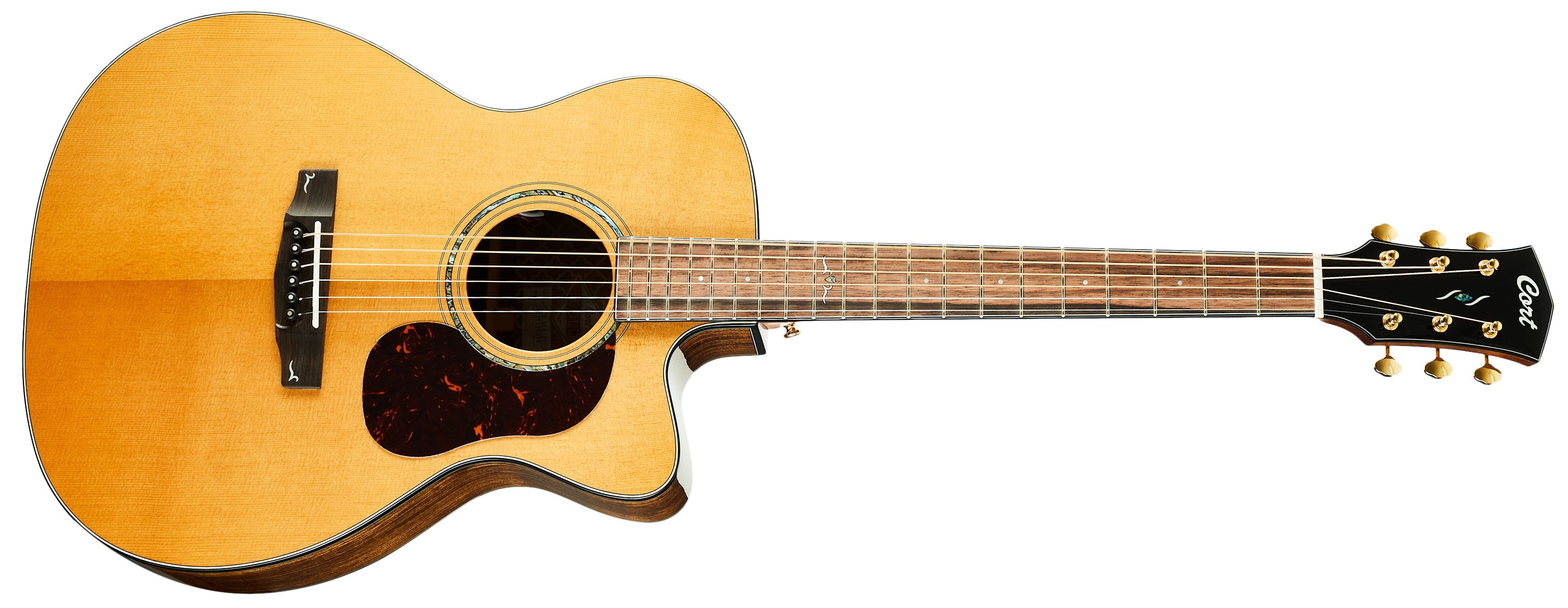 E-shop Cort Gold OC6-Bocote NAT