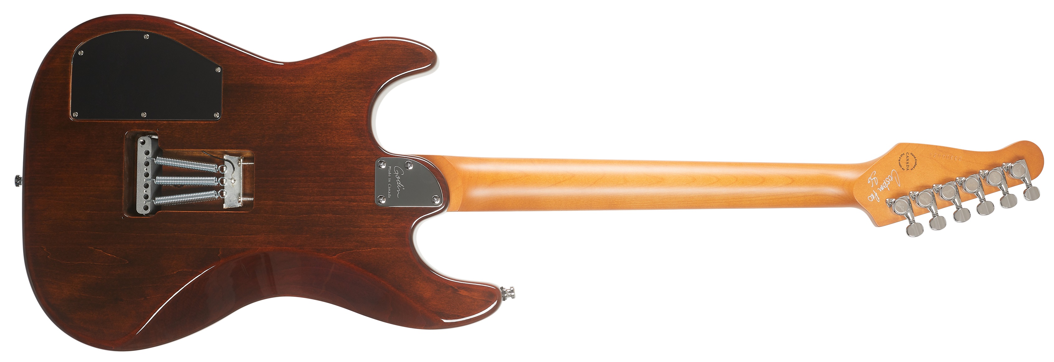 Godin Session T-PRO LTD Kanyon Burst MN