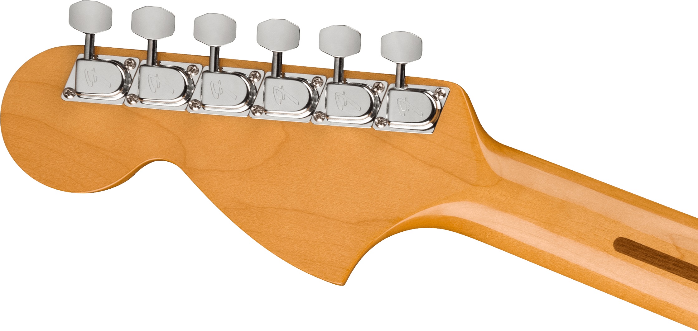 Fender 70th Anniversary Antigua Stratocaster RW AN