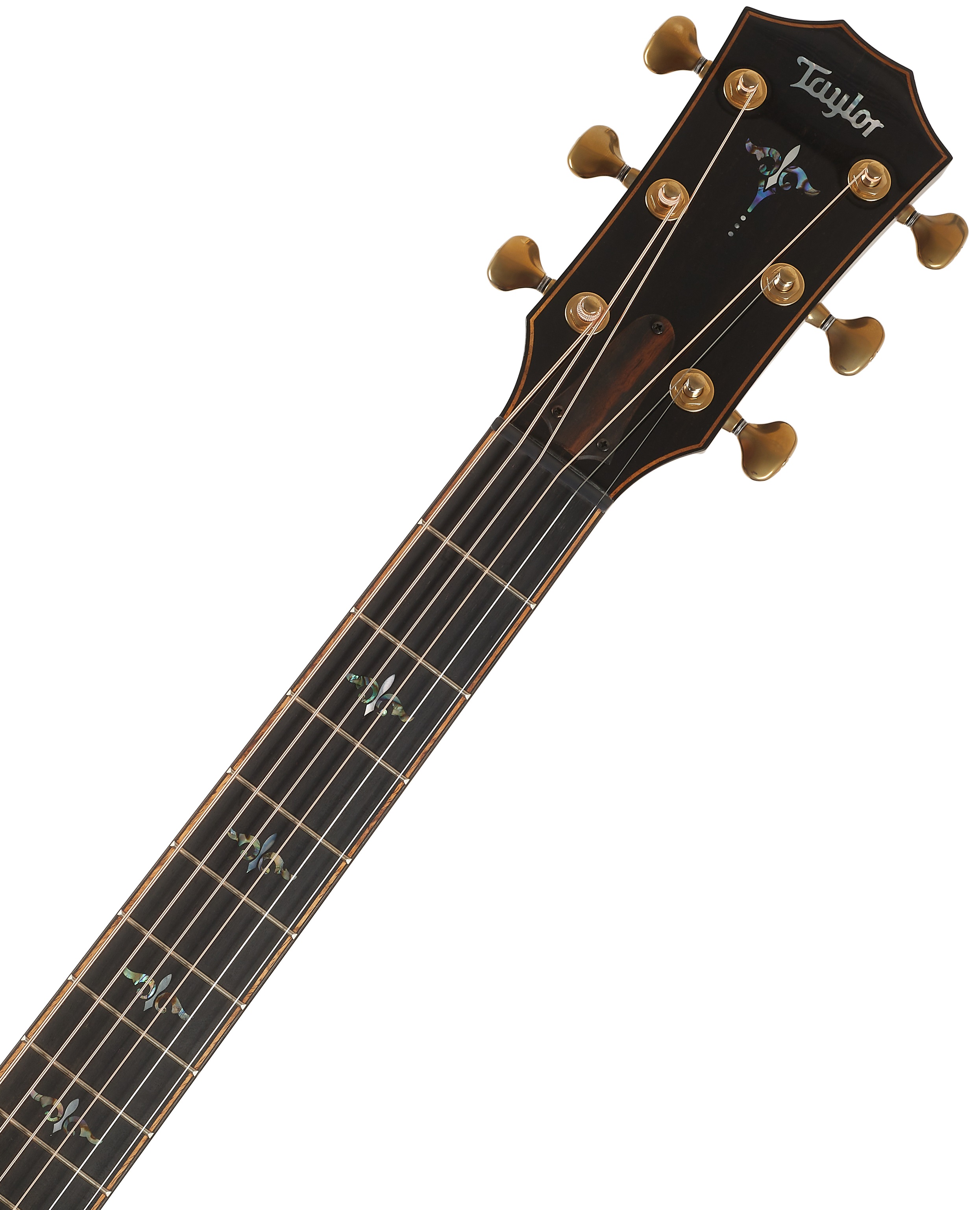 Taylor Builder's Edition 914ce Honduran