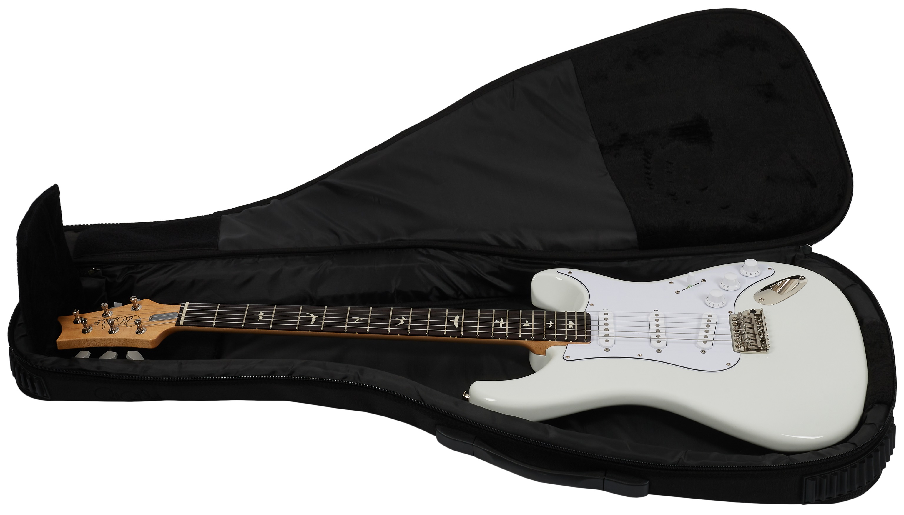 PRS Silver Sky RW Frost